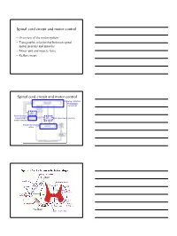 1 Spinal Cord Circuit and Motor Control Spinal Cord Circuit and Motor Control