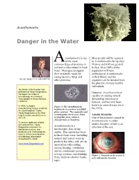 Acanthamoeba