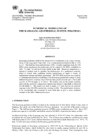 Numerical Modelling of the Kamojang Geothermal System, Indonesia