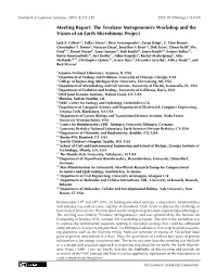 Terabase Metagenomics Workshop and the Vision of an Earth Microbiome Project