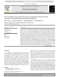 The Zinc Finger Transcription Factor Jing Is Required for Dendrite/Axonal