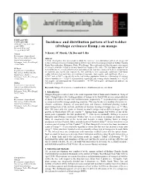 Incidence and Distribution Pattern of Leaf Webber (Orthaga Exvinacea