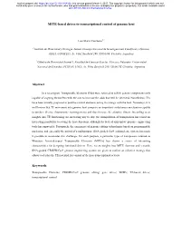 MITE-Based Drives to Transcriptional Control of Genome Host