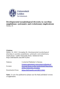 Phylogenetic Inference and Molecular Evolution in Caecilian Amphibians