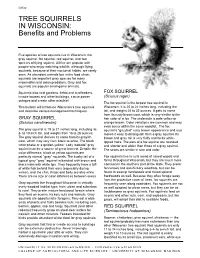 TREE SQUIRRELS in WISCONSIN: Benefits and Problems