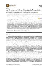 An Overview on Polymer Retention in Porous Media