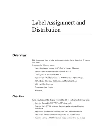 MPLS-Label-Assignment-Distribution