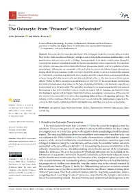 The Osteocyte: from “Prisoner” to “Orchestrator”
