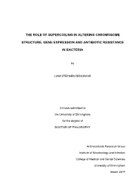 The Role of Supercoiling in Altering Chromosome Structure, Gene