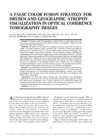 A False Color Fusion Strategy for Drusen and Geographic Atrophy Visualization in Optical Coherence Tomography Images