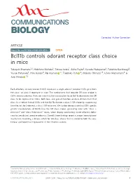 Bcl11b Controls Odorant Receptor Class Choice in Mice