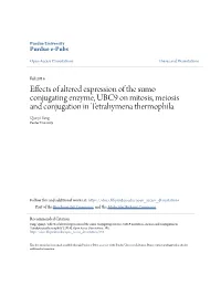 Effects of Altered Expression of the Sumo Conjugating Enzyme, UBC9 on Mitosis, Meiosis and Conjugation in Tetrahymena Thermophila Qianyi Yang Purdue University