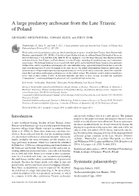A Large Predatory Archosaur from the Late Triassic of Poland