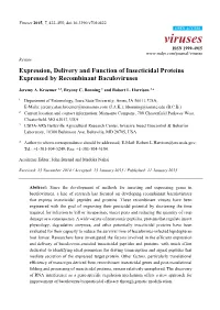 Expression, Delivery and Function of Insecticidal Proteins Expressed by Recombinant Baculoviruses