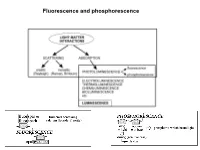 Fluorescence and Phosphorescence Possible De-Excitation Pathways of Excited Molecules