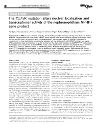 The C175R Mutation Alters Nuclear Localization and Transcriptional Activity of the Nephronophthisis NPHP7 Gene Product