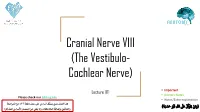 The Vestibulo- Cochlear Nerve)
