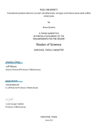 [Thesis Title]