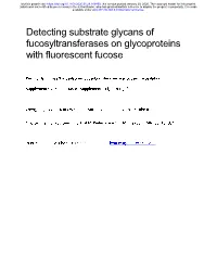Detecting Substrate Glycans of Fucosyltransferases on Glycoproteins with Fluorescent Fucose