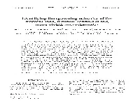 Full Text in Pdf Format