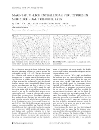 Magnesiumrich Intralensar Structures In