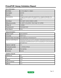 Primepcr™Assay Validation Report