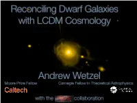 Reconciling Dwarf Galaxies with LCDM Cosmology