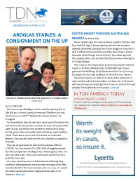 Ardglas Stables: a Consignment on the up Cont