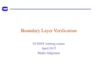 Boundary Layer Verification