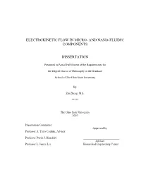 Electrokinetic Flow in Micro- and Nano-Fluidic Components