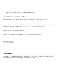 The External Pallidum: Think Locally, Act Globally