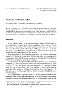 Halves of a Real Enriques Surface
