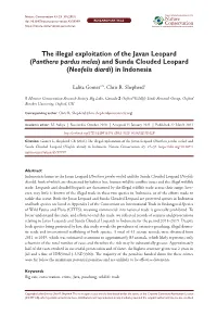 ﻿The Illegal Exploitation of the Javan Leopard (