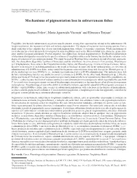 Mechanisms of Pigmentation Loss in Subterranean Fishes