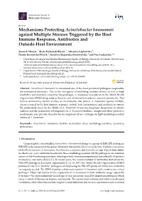 Mechanisms Protecting Acinetobacter Baumannii Against Multiple Stresses Triggered by the Host Immune Response, Antibiotics and Outside-Host Environment