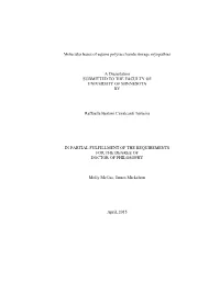 Molecular Bases of Equine Polysaccharide Storage Myopathies a Dissertation SUBMITTED to the FACULTY of UNIVERSITY of MINNESOTA