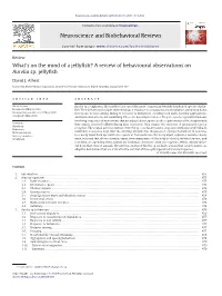 A Review of Behavioural Observations on Aurelia Sp. Jellyfish