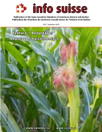 Download the Entire Issue As A