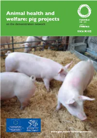 Animal Health and Welfare: Pig Projects on the Demonstration Network