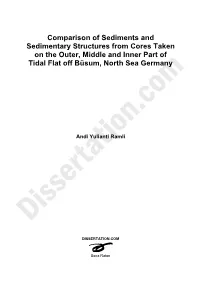 Comparison of Sediments and Sedimentary Structures from Cores Taken on the Outer, Middle and Inner Part of Tidal Flat Off Büsum, North Sea Germany