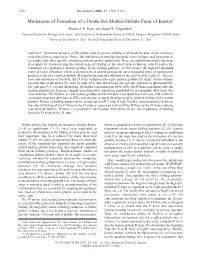 Mechanism of Formation of a Productive Molten Globule Form of Barstar† Bhadresh R