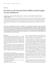 New Roles for the External Globus Pallidus in Basal Ganglia Circuits and Behavior