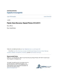 Pando Clone Recovery: Repeat Photos 2014-2019