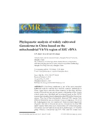Phylogenetic Analysis of Widely Cultivated Ganoderma in China Based on the Mitochondrial V4-V6 Region of SSU Rdna