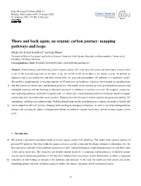 There and Back Again, an Organic Carbon Journey: Mapping Pathways