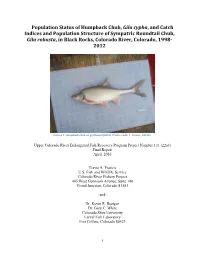 Population Status of Humpback Chub, Gila Cypha, and Catch