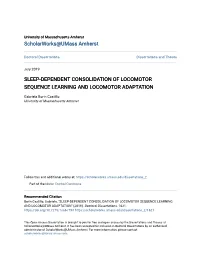 Sleep-Dependent Consolidation of Locomotor Sequence Learning and Locomotor Adaptation