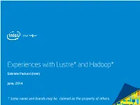 Experiences with Lustre* and Hadoop*