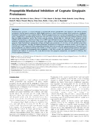 Propeptide-Mediated Inhibition of Cognate Gingipain Proteinases