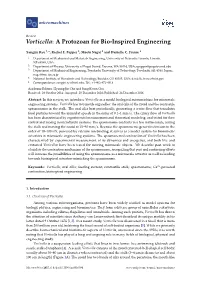 Vorticella: a Protozoan for Bio-Inspired Engineering